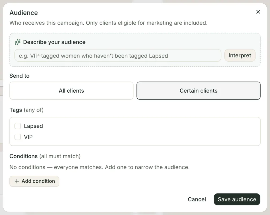 The audience dialog: a box to describe the audience in a sentence, a choice between all clients and certain clients, a list of tags to match on, and a condition builder underneath.